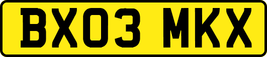 BX03MKX