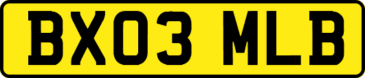 BX03MLB