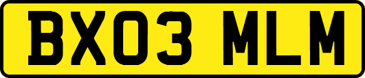 BX03MLM