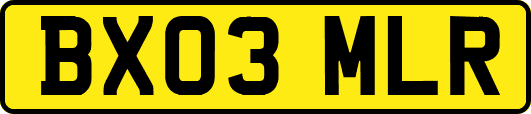 BX03MLR