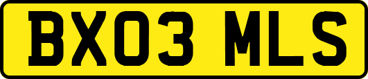 BX03MLS