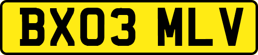 BX03MLV