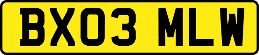 BX03MLW