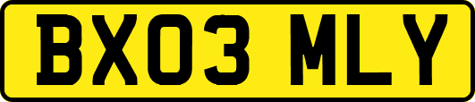 BX03MLY