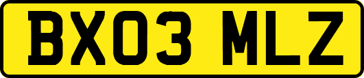 BX03MLZ