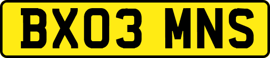 BX03MNS