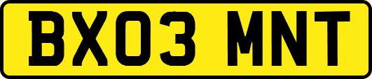 BX03MNT