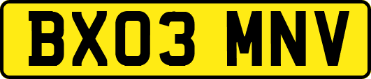 BX03MNV