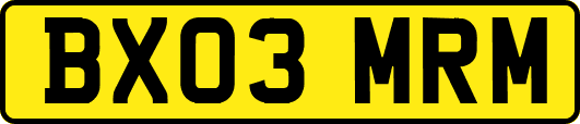 BX03MRM