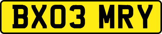 BX03MRY