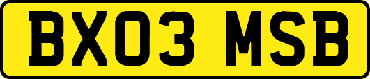 BX03MSB