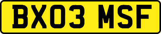 BX03MSF