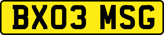 BX03MSG