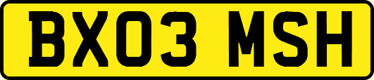 BX03MSH