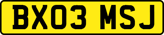 BX03MSJ
