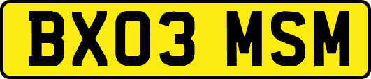 BX03MSM