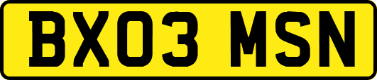 BX03MSN