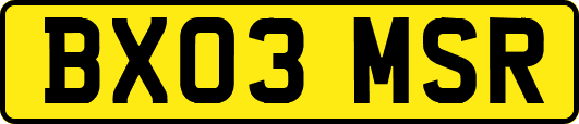 BX03MSR