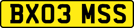 BX03MSS