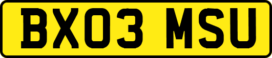 BX03MSU