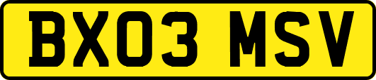 BX03MSV
