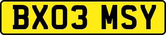 BX03MSY