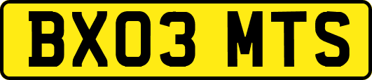 BX03MTS