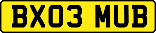 BX03MUB
