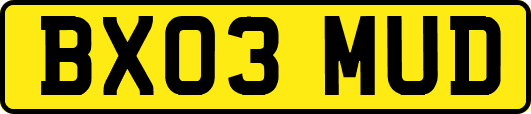 BX03MUD