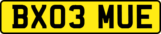 BX03MUE