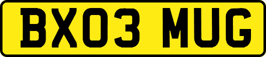 BX03MUG