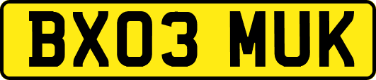 BX03MUK