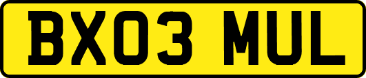 BX03MUL