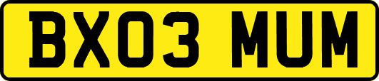 BX03MUM