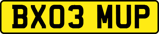 BX03MUP