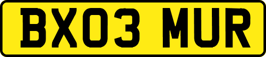 BX03MUR