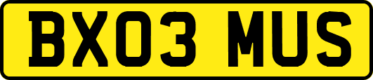 BX03MUS