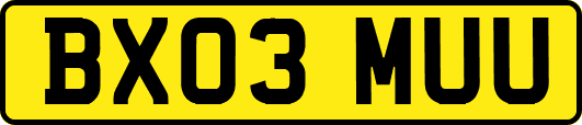 BX03MUU