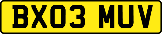 BX03MUV