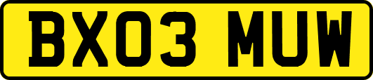BX03MUW