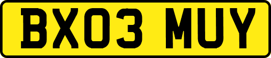 BX03MUY