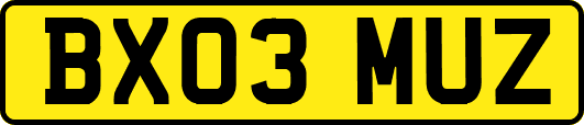 BX03MUZ