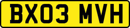 BX03MVH
