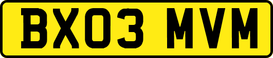 BX03MVM