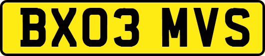 BX03MVS