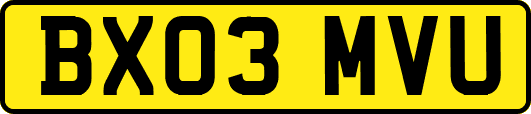 BX03MVU