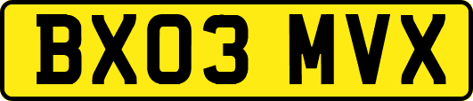 BX03MVX