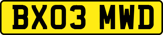 BX03MWD