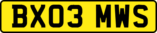 BX03MWS