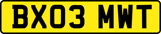 BX03MWT
